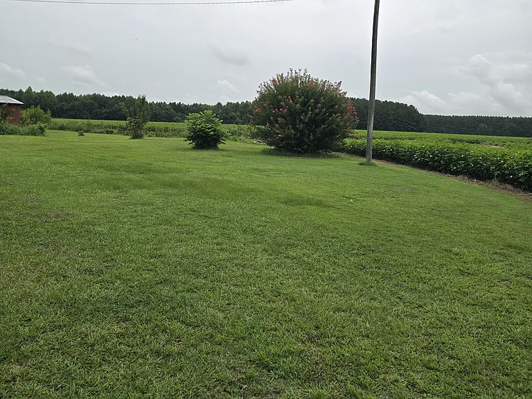 1717 Black Rd — Photo 3