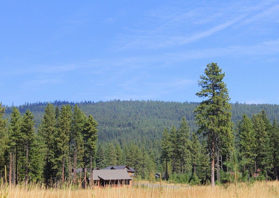 221 Big Dirty Ct Cle Elum, WA, 98922 Apartments for Rent Zillow