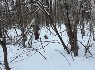 V/l 3733a Tubbs Trl, Onaway, MI 49765