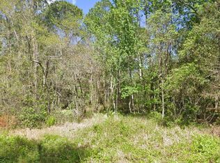 217 DOGWOOD AVENUE, GEORGETOWN, FL 32139