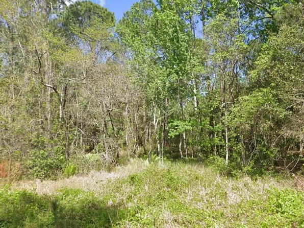 217 DOGWOOD AVENUE, GEORGETOWN, FL 32139
