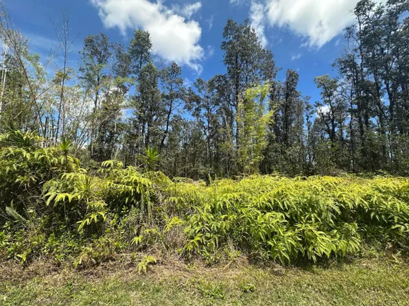 Road 5 Lot 4006, Kurtistown, HI 96760