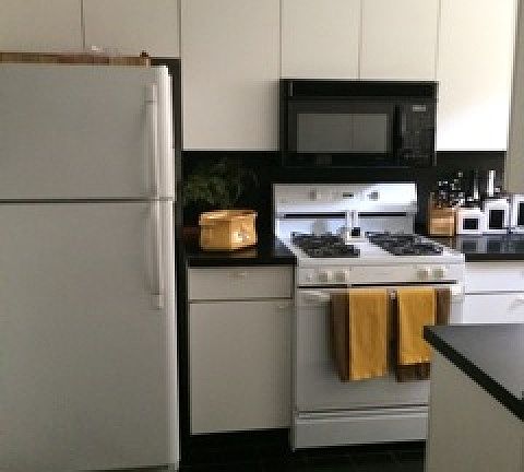 2nd image of 509 W Aldine Ave APT 1C