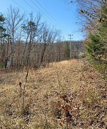 2nd image of 0 Lakemoore Dr