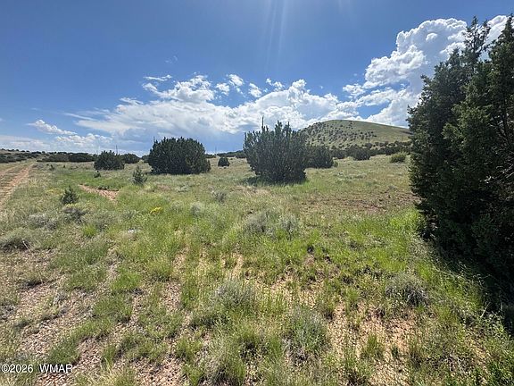 2nd image of 103 County Road 5202