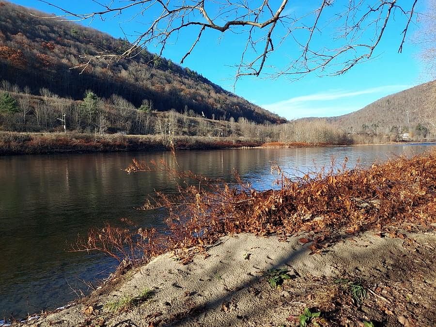 722 Peas Eddy Rd, Hancock, NY 13783 Zillow