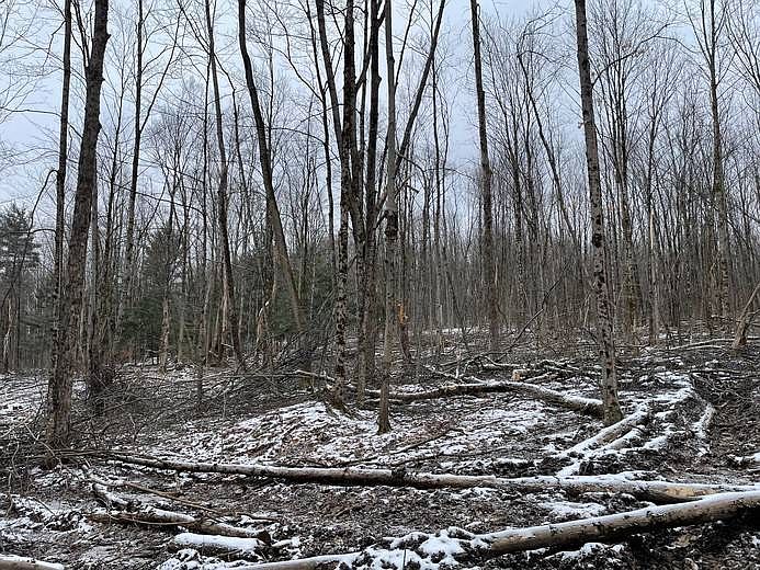 1.17 Van Buren Rd 17, Camden, NY 13316 Zillow