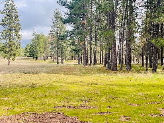 3rd image of Orchard Heights Rd Lot 1