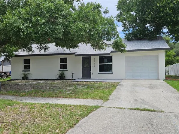 3725 Ambermist Dr, Tampa, FL 33619