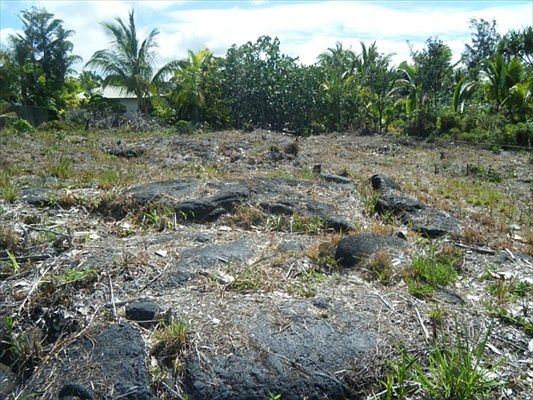4th image of Paradise Ala Kai Dr Lot 407