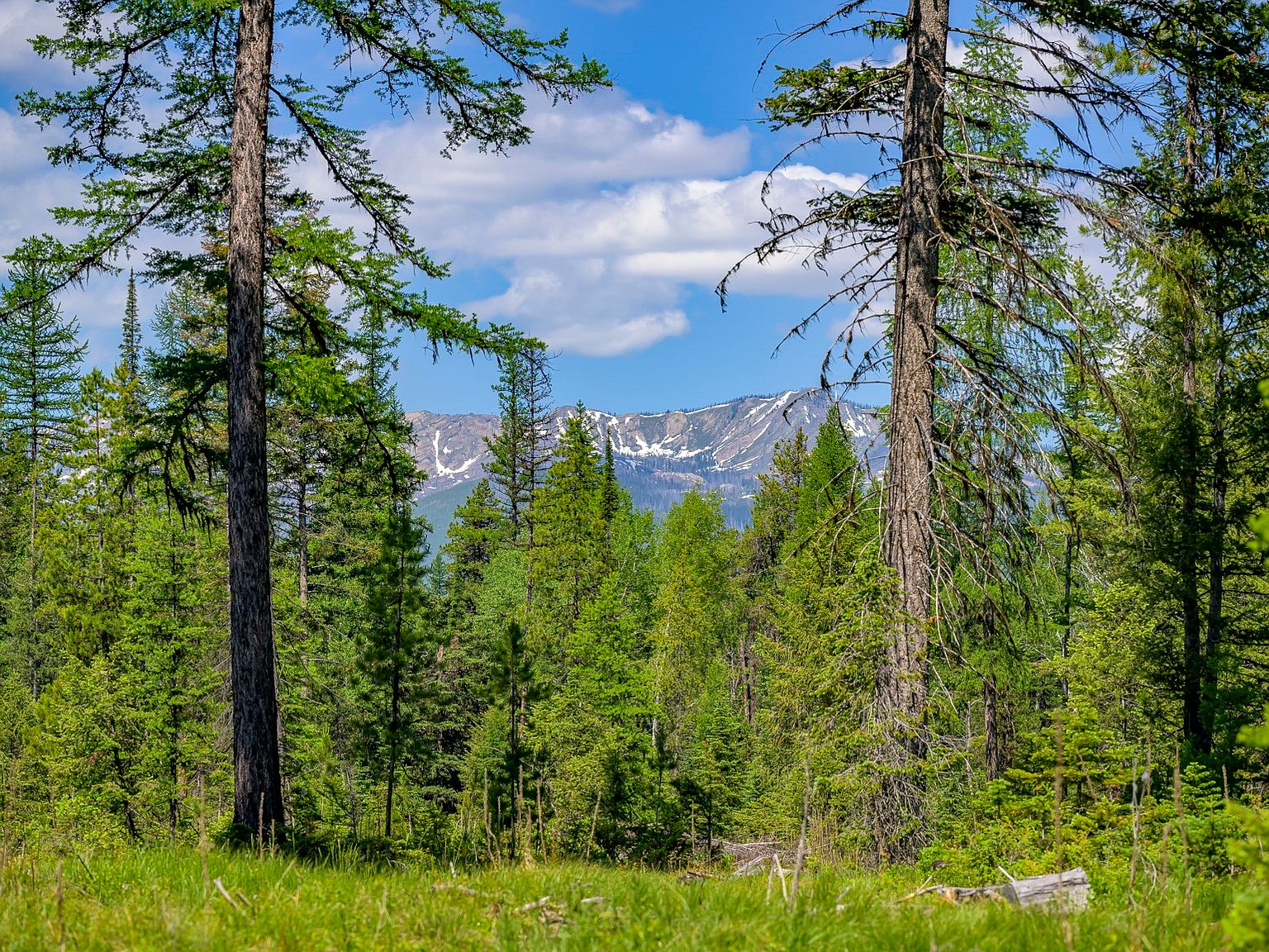 Nhn Lindbergh Lake Rd, Condon, MT 59826 MLS 30007129 Zillow