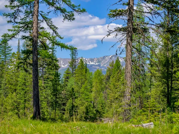 Nhn Lindbergh Lake Rd, Condon, MT 59826