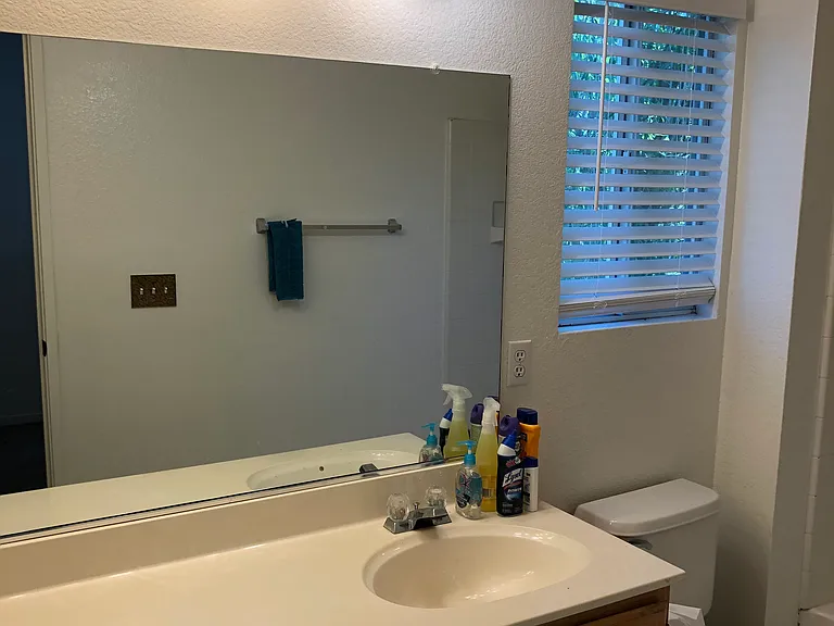 8742 Weeping Birch Ln — Photo 14