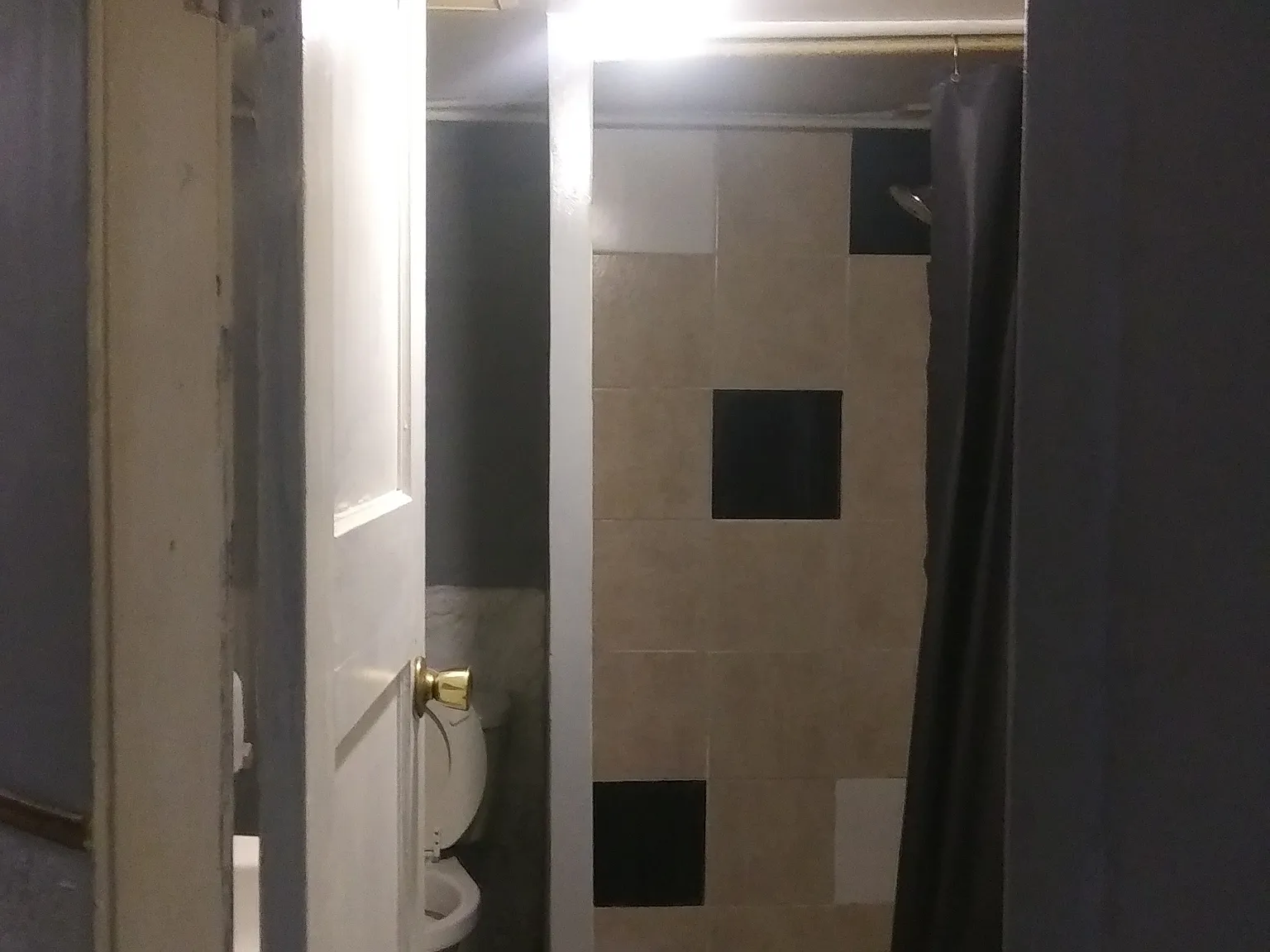 1 bed, 1300 sqft, $775 — Photo 3