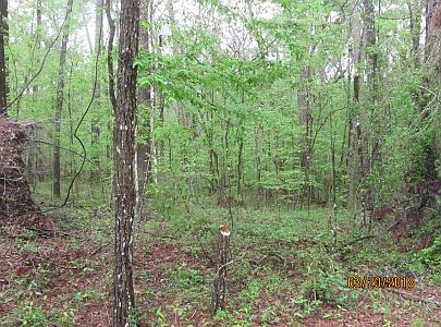 2nd image of 177TH Road