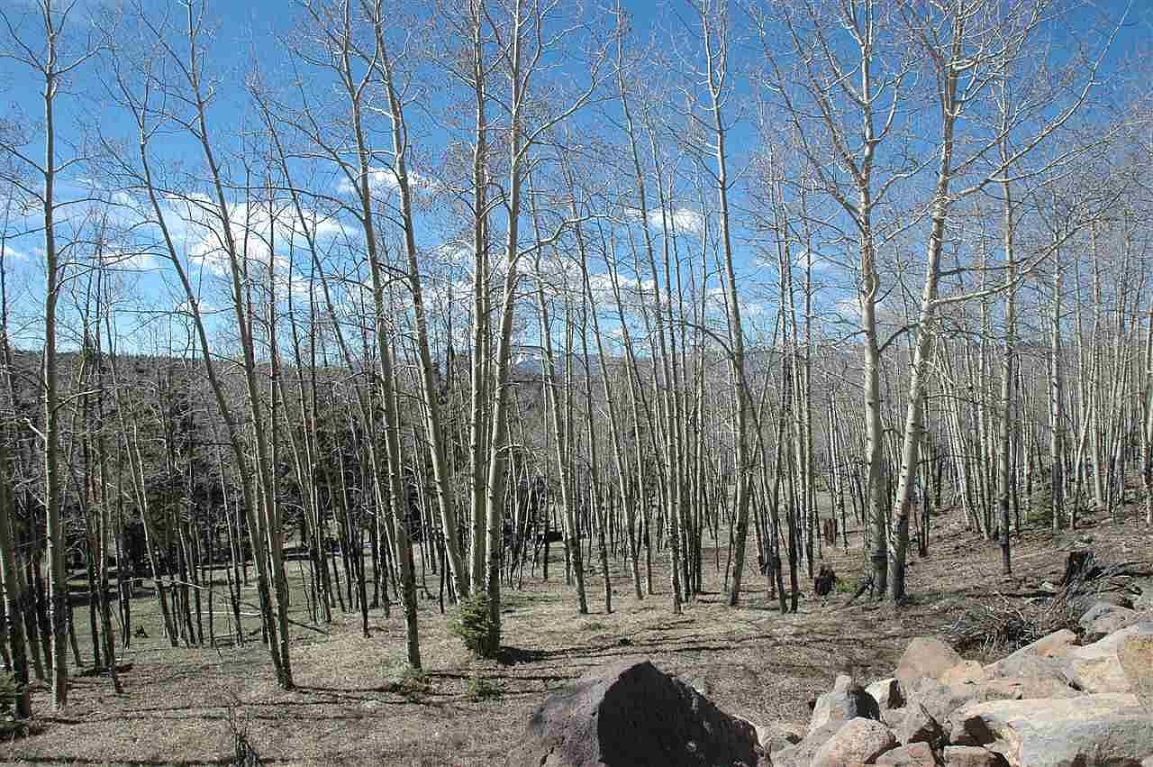 1051 Starshine Over, Anton Chico, NM 87711 MLS 103426 Zillow