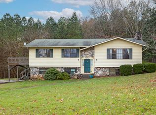 254 Twin View Dr, Spring City, TN 37381