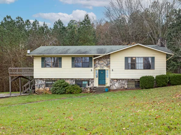 254 Twin View Dr, Spring City, TN 37381