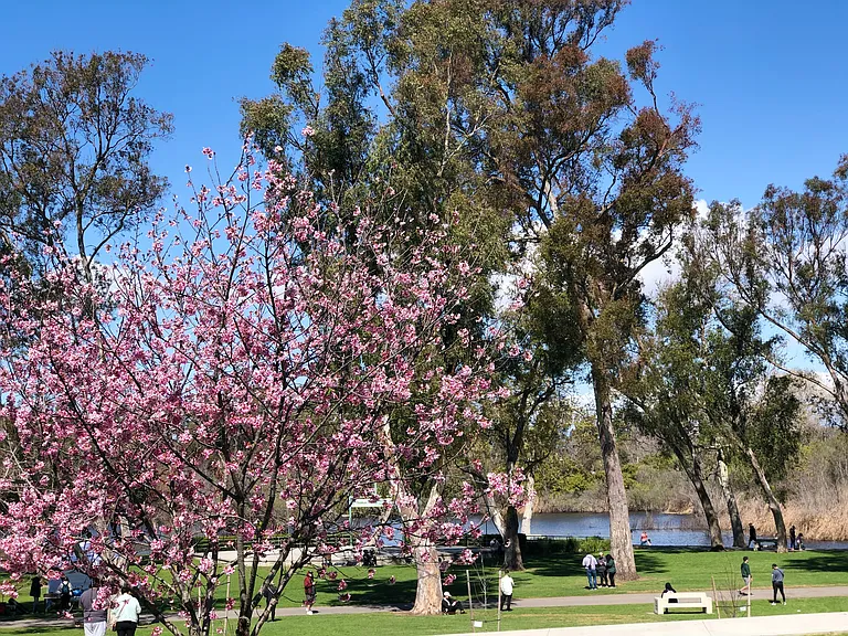 16522 Pro Cir #B — Photo 1