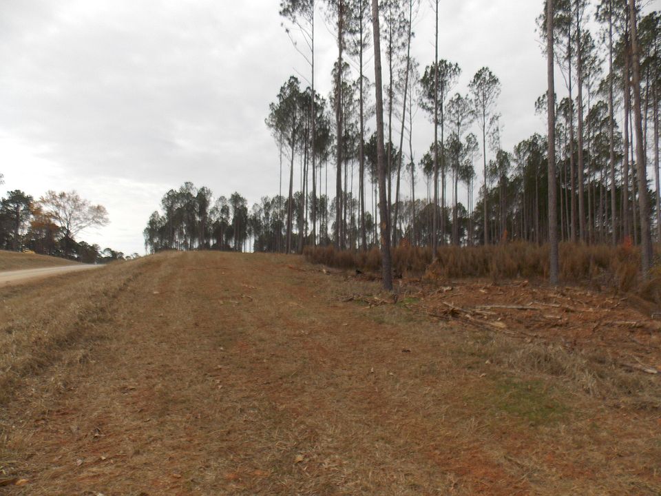 2nd image of 2 E Mosley Rd #2