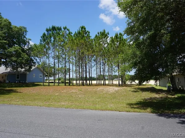 2342 N Brentwood Cir, Lecanto, FL 34461