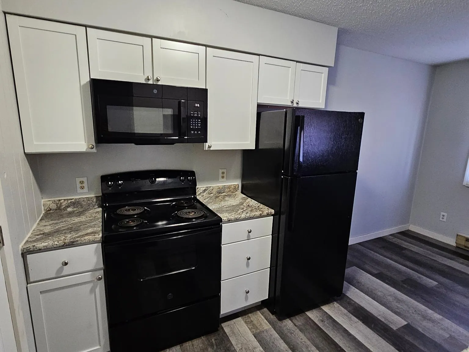 2 bed, 800 sqft, $1,300 — Photo 4