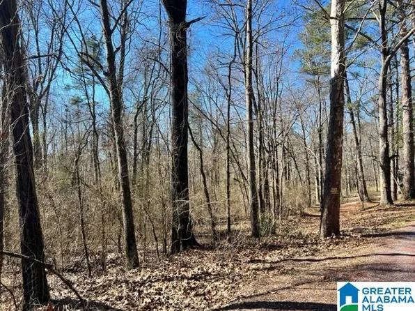7905 Bankhead Hwy #0, Dora, AL 35062
