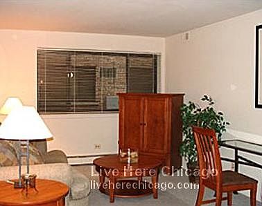 2nd image of 527 W Deming Pl #327
