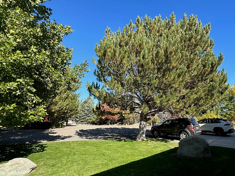 237 Plum Ct — Photo 5