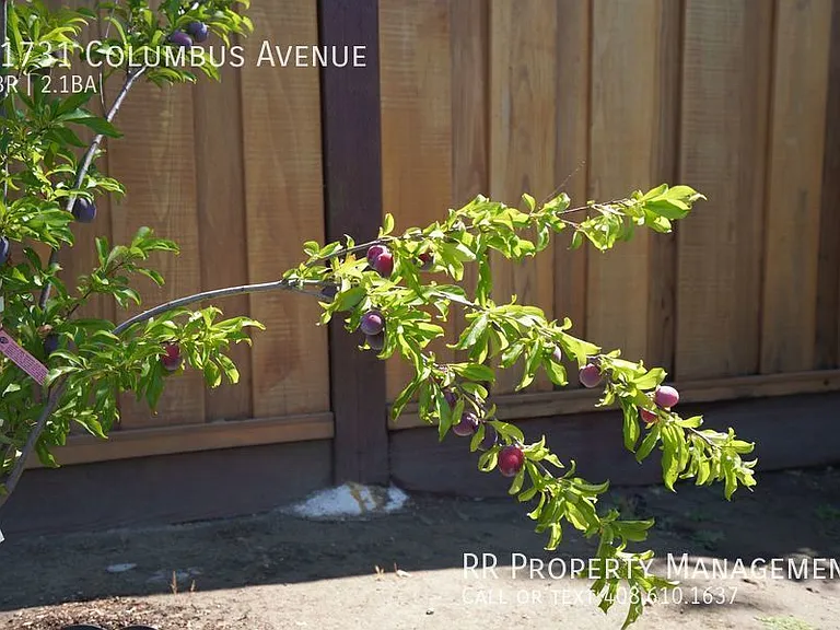 21731 Columbus Ave — Photo 52