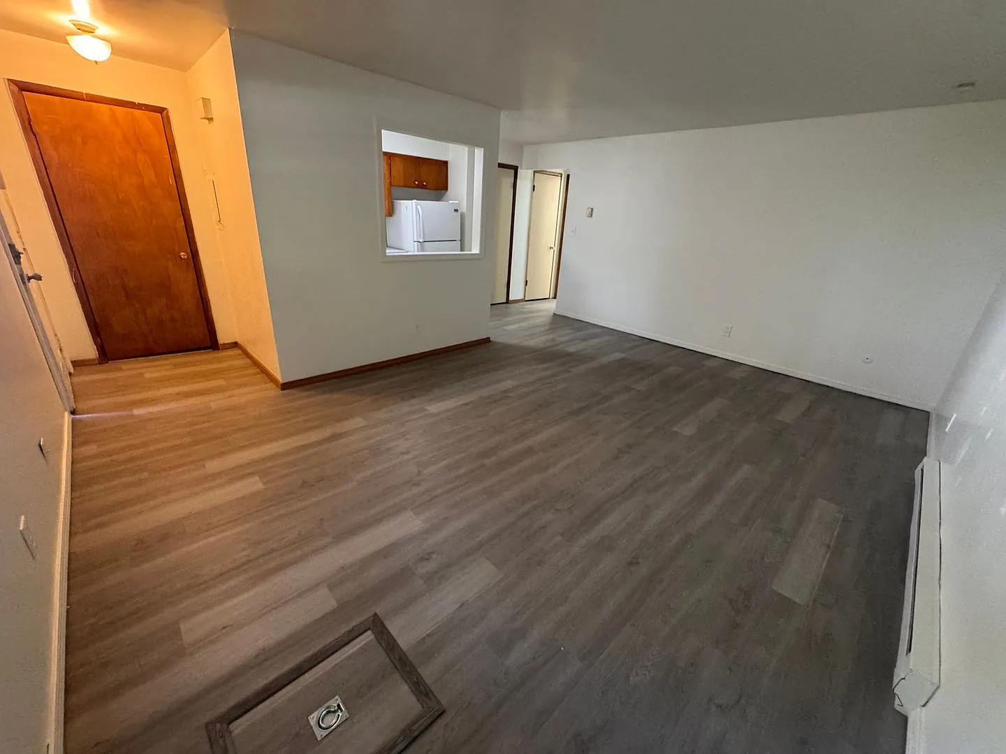 The Spruce — Photo 4