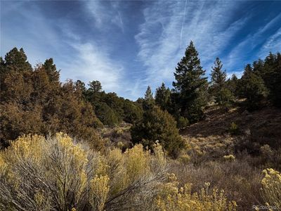 00 Jaidi Road, Fort Garland, CO, 81133