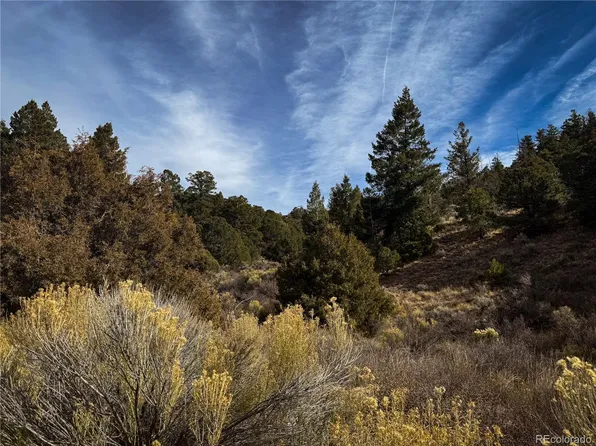 00 Jaidi Road, Fort Garland, CO 81133