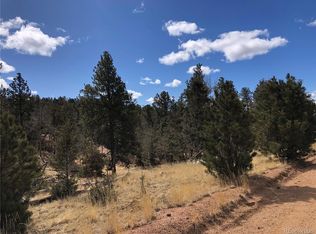 294 Southgate Rd #1661, Florissant, CO 80816