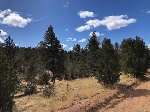 294 Southgate Road LOT 1661, Florissant, CO 80816