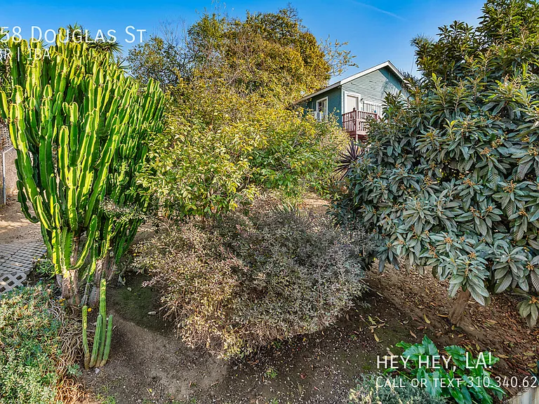 158 Douglas St — Photo 18