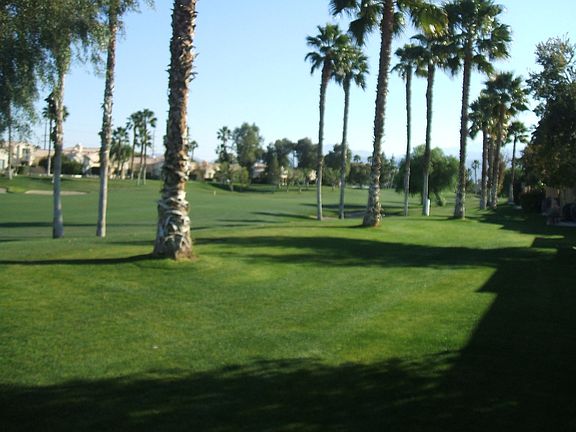 Backyard is on a Fairway