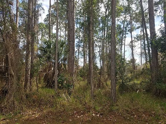 4th image of 63 Egret Trl