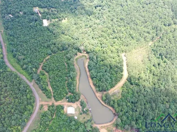 2409 County Road 2303, Lone Star, TX 75668