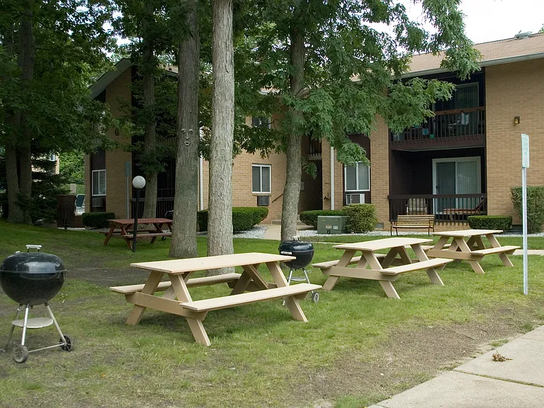 Picnic area with BBQs