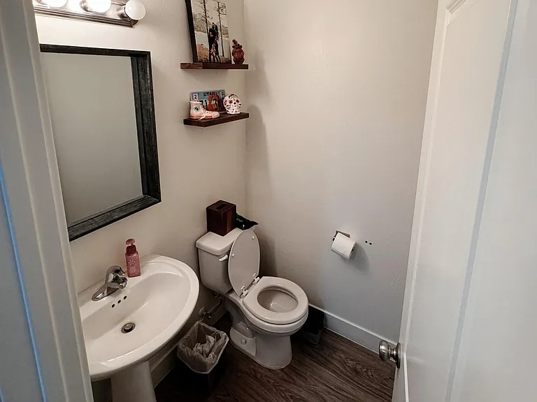 Down Stairs Bathroom