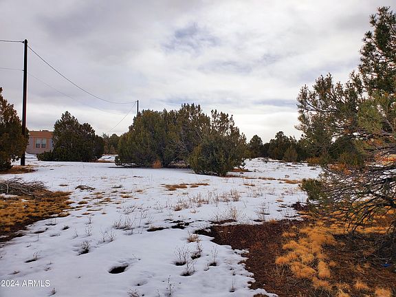 4th image of 216 E Orchid Drive #558
