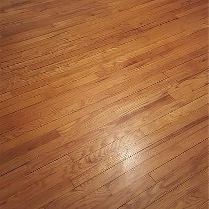 4th image of 42 W Maplewood Ave