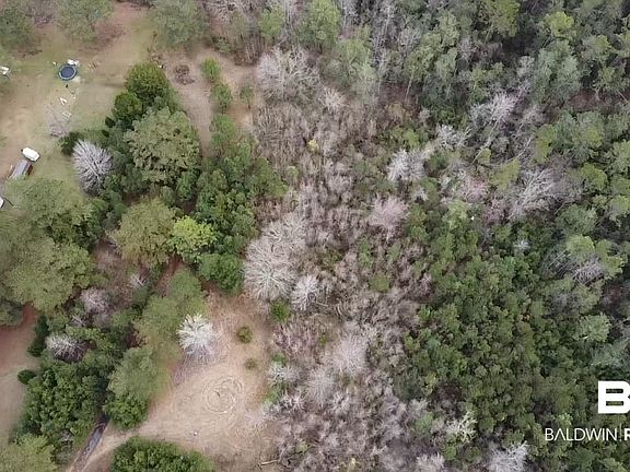 4th image of Scottish Ln