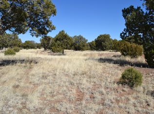 H Turkey Lake Rd, Pinedale, AZ 85934