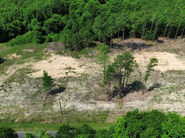 0 Wilbur Pridgen Rd Lot 8, Harrells, NC 28444