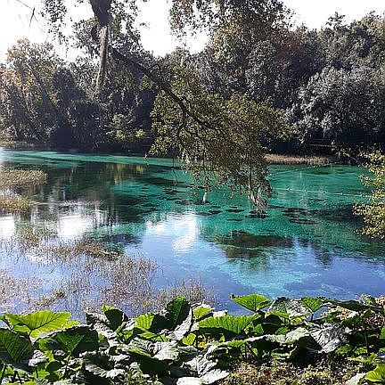 Rainbow Springs Park
