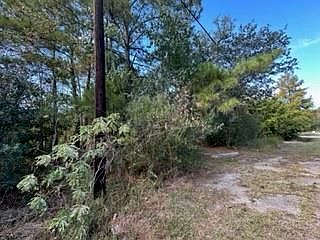 2nd image of 203 Bea Dr