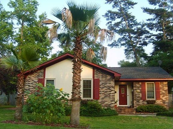 The sunflowers are no longer there in between the palm trees