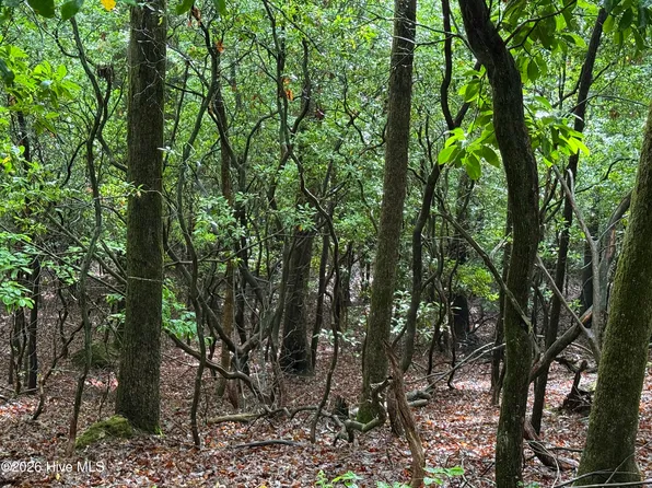 Lot 28 Atoah Loop, Murphy, NC 28906